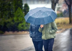 В четверг весеннюю погоду испортят дожди