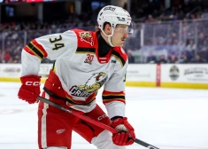 Eduards Tralmaks pirmo reizi izsaukts uz NHL 