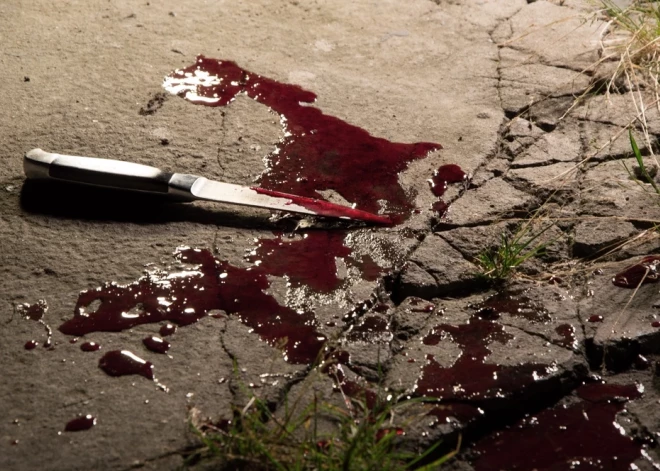 Vīrietim, kurš narkotiku reibumā nežēlīgi nogalināja savu māti, draud mūža ieslodzījums