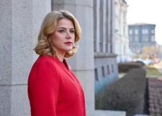 Силиня пожаловалась на то, что работников госуправления в Латвии "буллят со всех сторон"