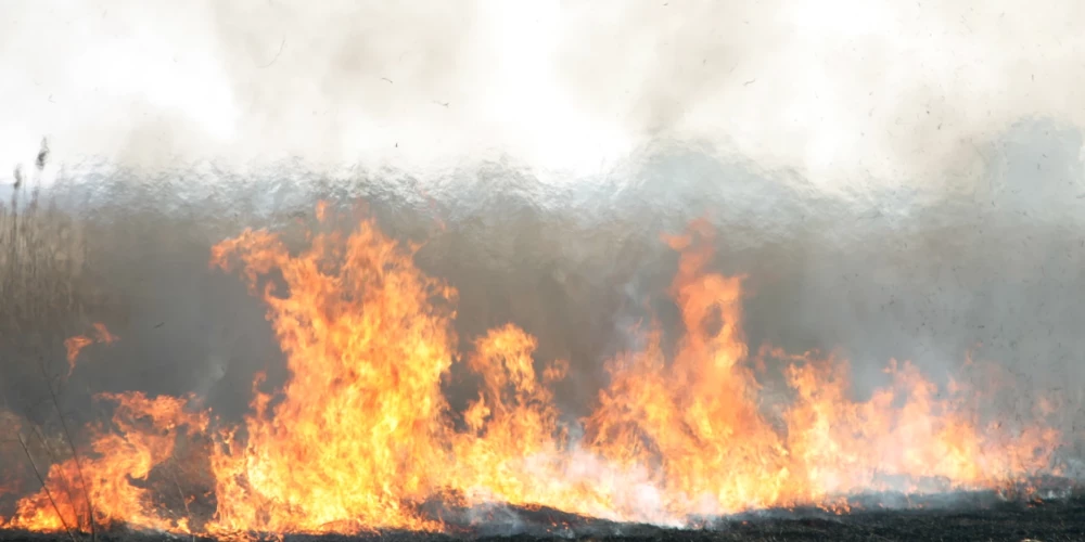 /Ilustratīvs attēls/ 