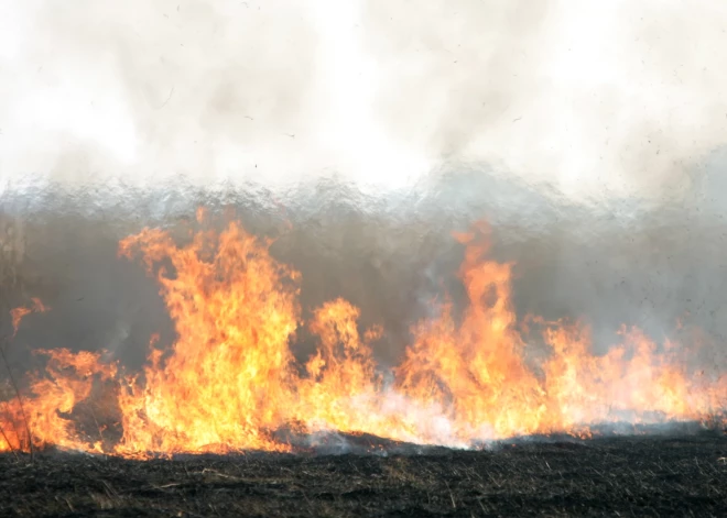 Nepilnās divās pavasara nedēļās dzēsts jau 21 kūlas ugunsgrēks