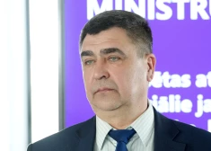 У Латвии будет своя "Альтернатива": в Риге создают новую партию