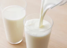 Стало известно, почему компания Zemturi отозвала свое молоко из магазинов Латвии