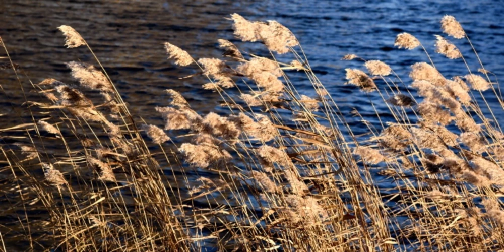 Иллюстративное фото.