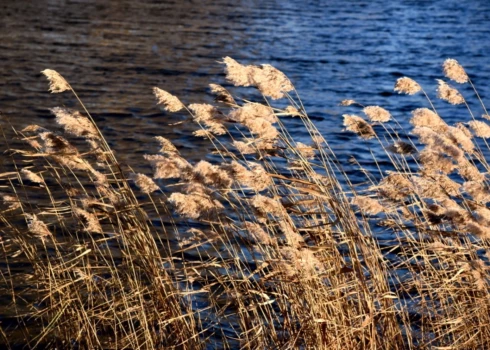 Иллюстративное фото.