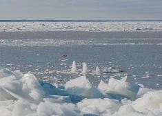 Palu periods šogad varētu būt ilgāks un beigties aprīļa vidū; aicina būt gataviem