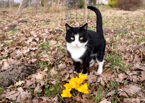 Иллюстративное фото.