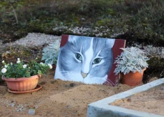 Daugavpilī izraugās vietu dzīvnieku kapsētai