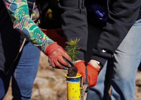 Sākusies pieteikšanās LVM Atvērto Meža dienu pasākumiem. 