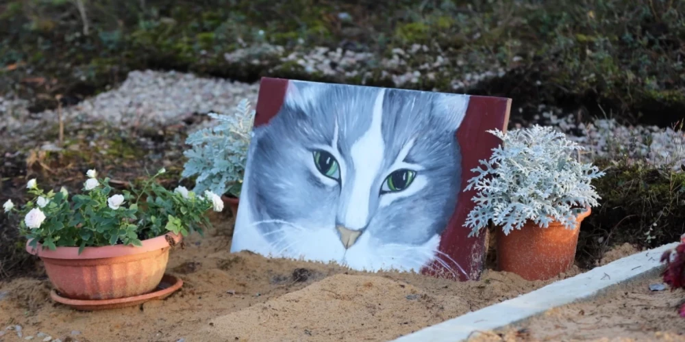 Иллюстративное фото.