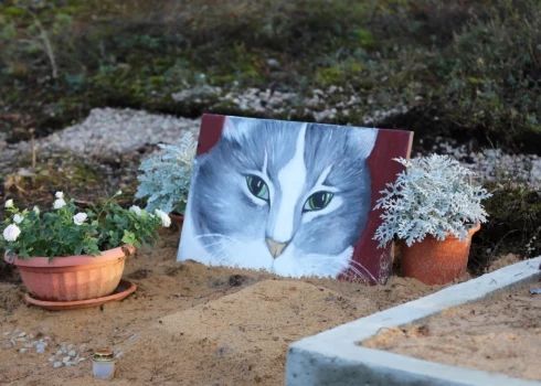 Иллюстративное фото.