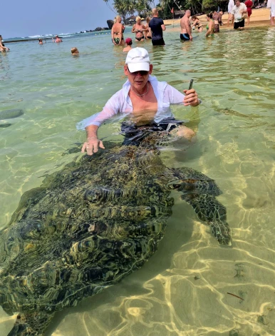 Šrilankas Dalavellas pludmale – vieta Klusajā okeānā, kur krastā izpeld milzīgie bruņrupuči.
