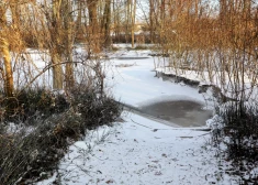 Aizkrauklē dīķī atrasts noslīcis cilvēks