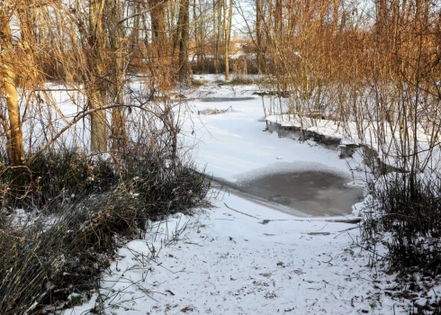 Ilustratīvs attēls. 