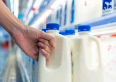 PVD skaidro, kad atkal ļaus tirgot "Zemturu pienu" — ražošanu varēs atsākt tikai ar vienu stingru nosacījumu