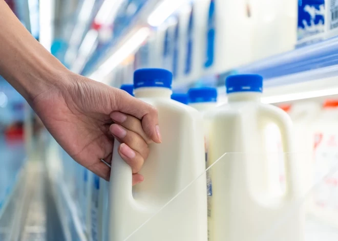 PVD skaidro, kad atkal ļaus tirgot "Zemturu pienu" — ražošanu varēs atsākt tikai ar vienu stingru nosacījumu