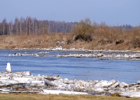 Иллюстративное фото.