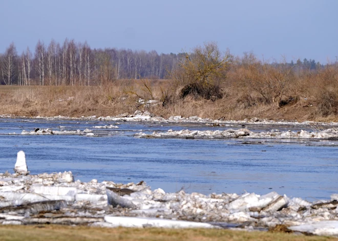 В субботу воздух прогреется до +15 градусов