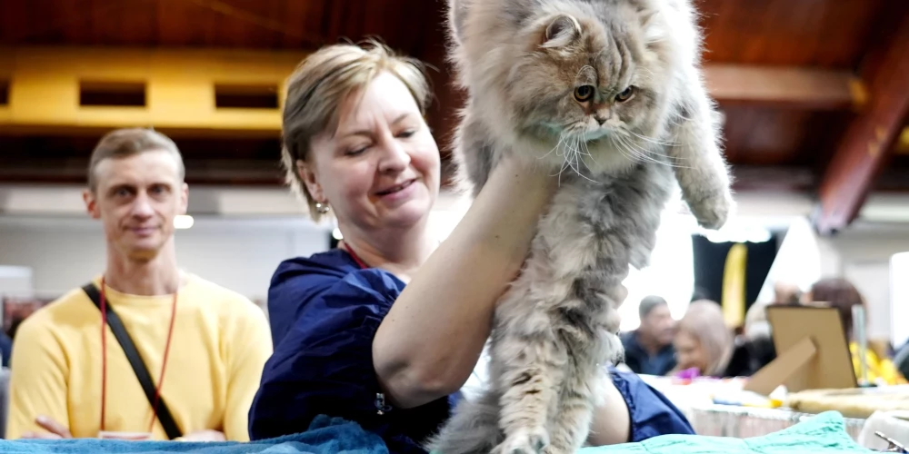 На выставке PetExpo в 2023 году.