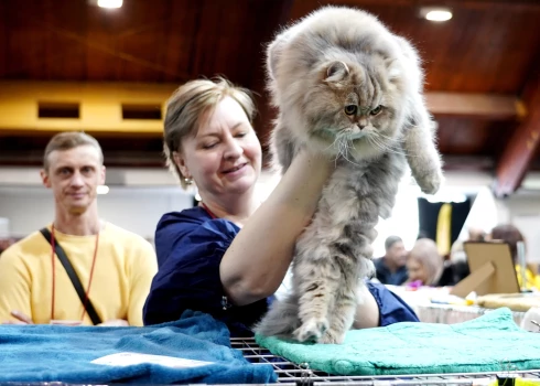 На выставке PetExpo в 2023 году.