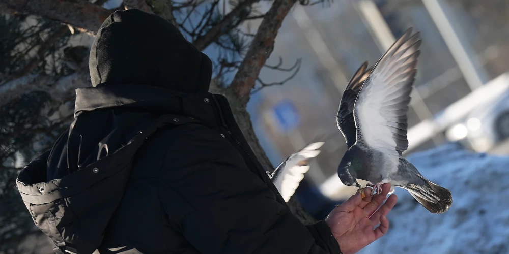 Gaiss vietām atdzisīs līdz -1 grādam. 