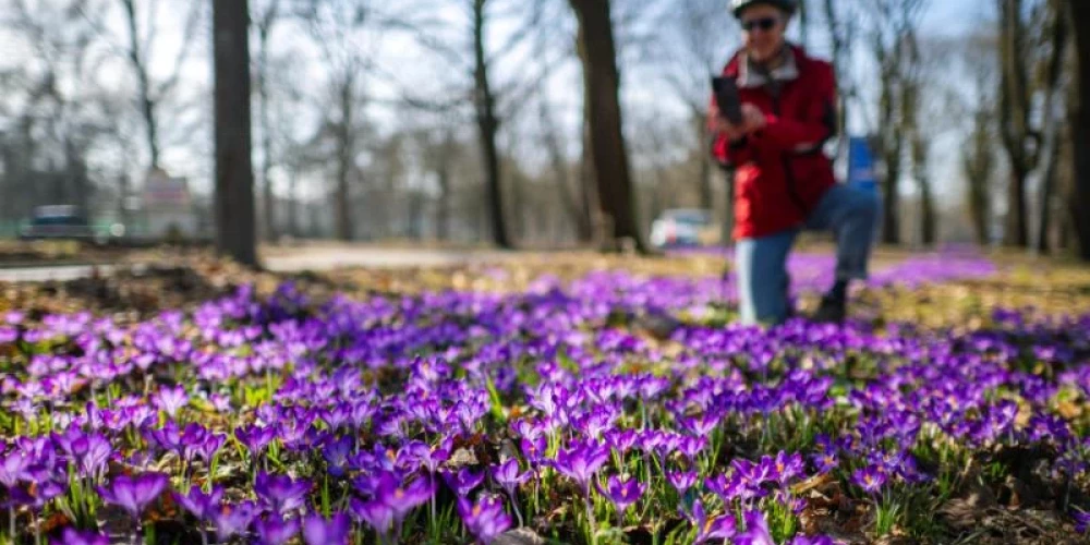 Pārspēts 14. marta siltuma rekords.