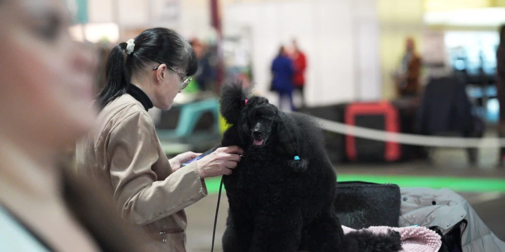 FOTO: sirsnīgi mirkļi no Baltijā vērienīgākās mājdzīvnieku izstādes “PetExpo 2026”.