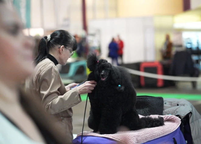 FOTO: sirsnīgi mirkļi no Baltijā vērienīgākās mājdzīvnieku izstādes “PetExpo 2026”.