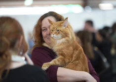 FOTO: sirsnīgi mirkļi no Baltijā vērienīgākā mājdzīvnieku izstāde “PetExpo 2026”