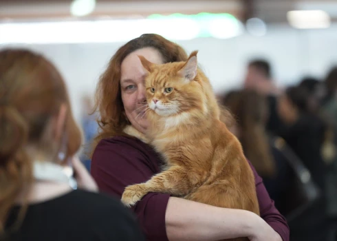 Ķīpsalā notiek Baltijā vērienīgākā mājdzīvnieku izstāde “PetExpo 2026”.