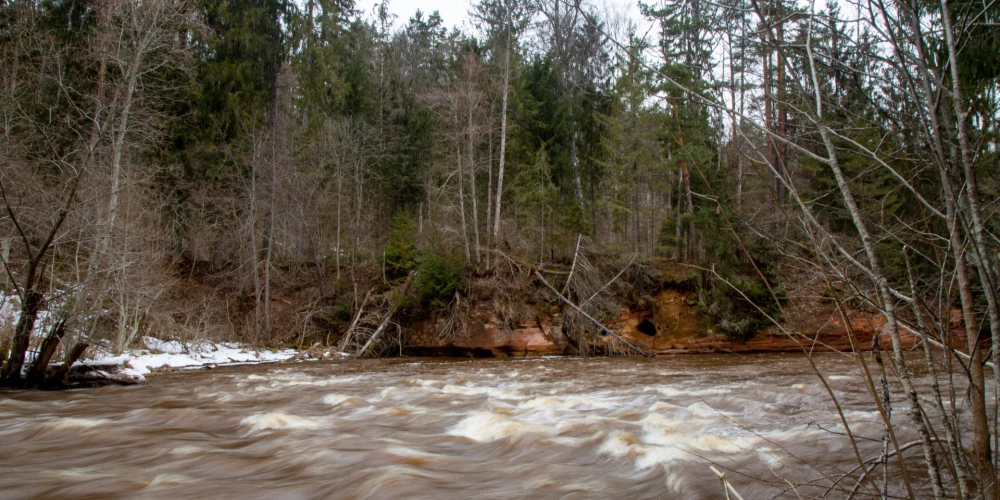 Иллюстративное фото.