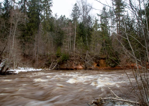 Иллюстративное фото.