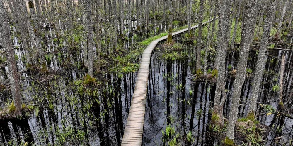 Иллюстративное фото.