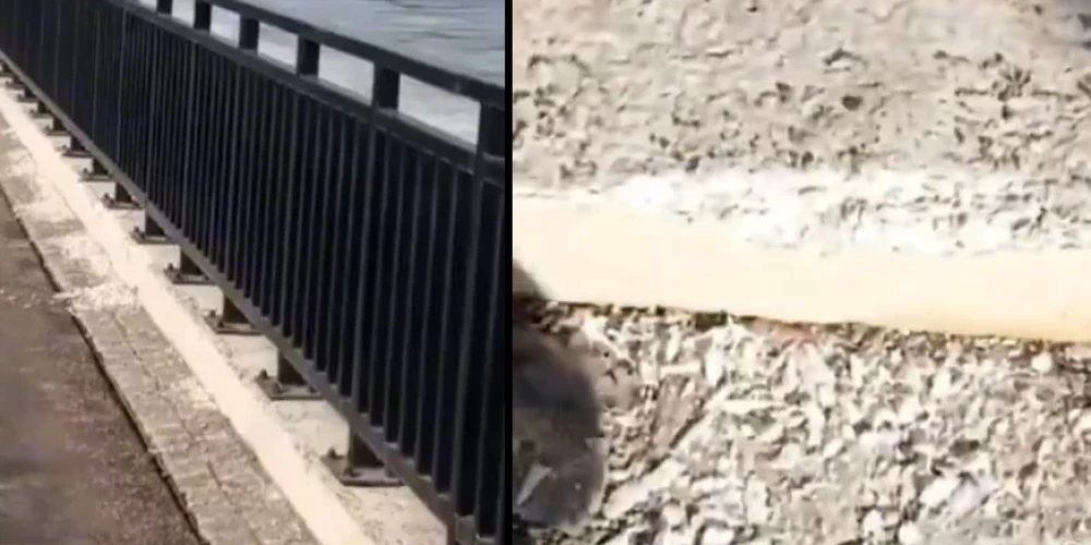 Спустя всего 3 месяца бетон у перил уже крошится.
