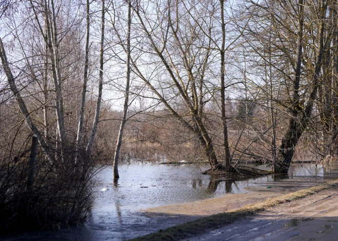 В Латвии будет пасмурный и дождливый понедельник