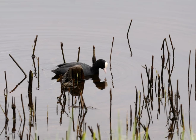 "Kā mums tagad bez tevis? Nu kāpēc?" Māte dalās ar skumju ziņu par Liepājā pazudušo meiteni