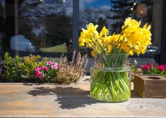 Šonedēļ populārākie vārdi – Ilona un Guntis