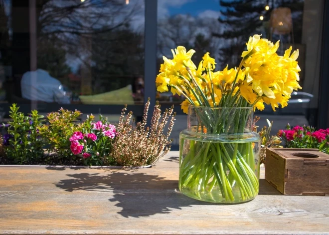 Šonedēļ populārākie vārdi – Ilona un Guntis