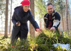 VIDEO: jo labāk koks jutīsies, jo labāk tas izturēs klimata pārmaiņas