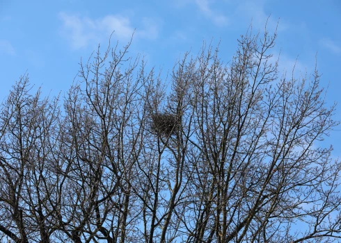 Иллюстративное фото.