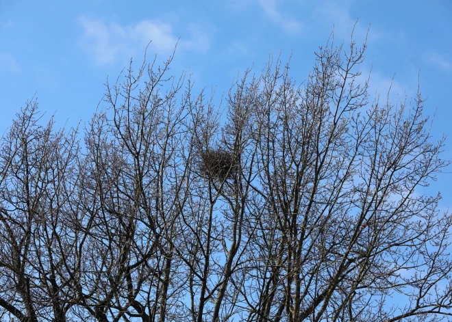 Во вторник существенных осадков в Латвии не ожидается