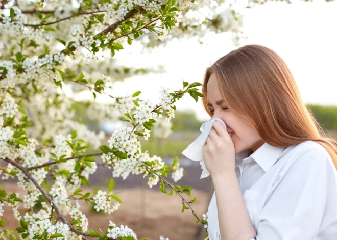 Готовиться уже поздно? Латвийский врач рассказал, как выжить в сезон аллергии