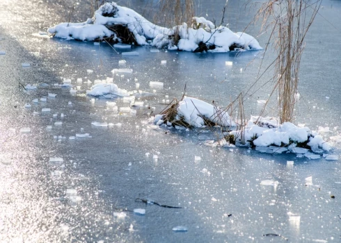 Иллюстративное фото.