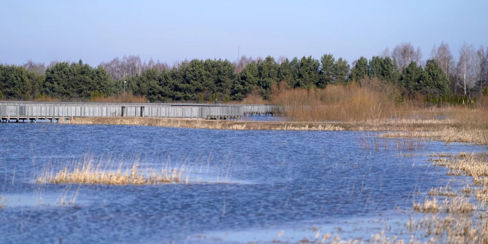 Applūdušās Svētes palienas pļavas.