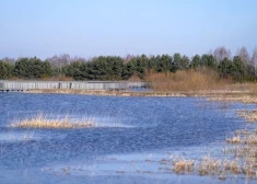 Ūdens līmenis upēs galvenokārt pazeminās