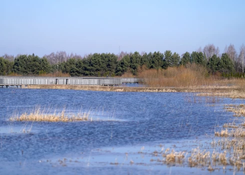 Applūdušās Svētes palienas pļavas.