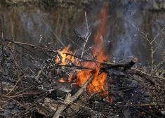 Limbažu novadā atļauta sagrābto lapu un zaru dedzināšana – kas jāzina iedzīvotājiem?