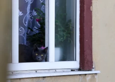 Latvijā plānotas izmaiņas dzīvesvietas deklarēšanā