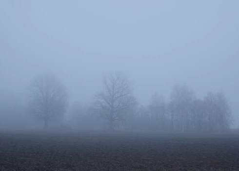 Naktī daudzviet veidosies migla. 